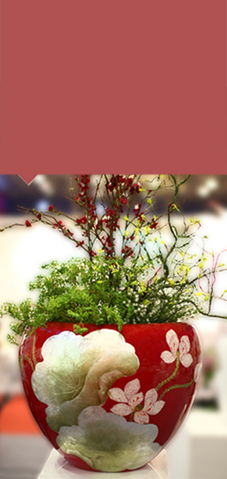 Like quang's products